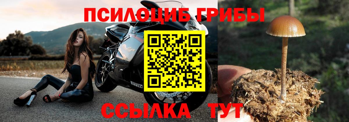Чапаевск  Галлюциногенные грибы Cubensis  дарнет шоп  Вход с VPN 